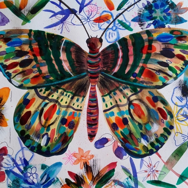 Peinture à laquarelle peinture papillon gravure papillon -  France