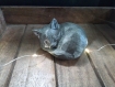 Figurine lowpoly chat endormi