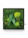 Tableau végétal naturel stabilisé green elegance 35x35