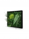 Tableau végétal naturel stabilisé green elegance 18x38
