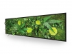 Tableau végétal naturel stabilisé green elegance 40x140