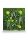Tableau végétal naturel stabilisé green elegance 80x80