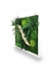 Tableau végétal naturel stabilisé green wood 35x35