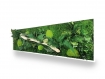 Tableau végétal naturel stabilisé green wood 40x140