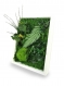 Tableau végétal naturel stabilisé green elegance 18x24