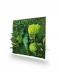 Tableau végétal naturel stabilisé green elegance 35x35