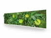 Tableau végétal naturel stabilisé green elegance 40x140