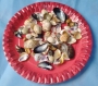 Sachet de 150g divers vernis les coquillages se ramassent sur la côte atlantique 