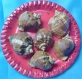 Lot de 6 escargot-rapana de la mer noire vernis-coquillages de mer noire en bulgarie 