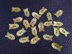 10x boutons en nacre coquillage naturelle couleur vert forme poisson 20mm x 10mm 