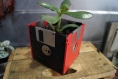Pot fleur disquette noir et rouge