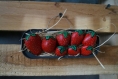 Barquette fraises galets peints