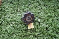 Bague électrique fleur noir
