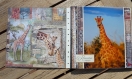 Tutoriel album safari en namibie