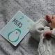 12 cartes étapes - la première année de bébé - thème animaux
