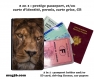 Protège passeport - porte cartes lion 005