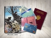 Protège passeport porte cartes - alice aux pays des merveilles 01 - follow the white rabbit