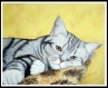 Chat sur coussin huile sur toile portrait-peinture chat