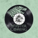 Horloge en disque vinyle 33 tours thème game of throne winter is coming