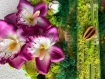 Tableau végétal et floral permanent : radeau fleuri