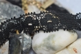 Vague noir - collier pierres de mer