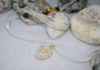 Sublimisable - collier tissus satinée coquillage naturel