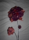 Fleurs colorées à piquer, intérieur comme extérieur, violet/vieux rose