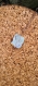 Pendentif , en pierre naturel, de jaspe polychrome
