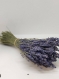 Lavande/fleurs séchées/bouquet de lavande/extra bleue sèchee/lavandine