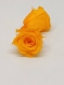 Rose stabilisé/fleurs stabilisées/plante stabilisée/cadeau/16pcs
