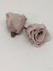 Rose stabilisé/fleurs stabilisées/plante stabilisée/cadeau/16pcs