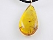 Collier d'ambre naturelle : goutte d'ambre avec des inclusions d'insectes et cordon de cuir noir véritable 