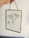 Cadre verre et métal doré à suspendre fleurs séchées, chainette, herbier art botanique, art pressé de fleurs, gypsophile