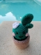 Mignon petit cactus au crochet