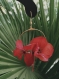 Créoles en grandes fleurs stabilisées rouges
