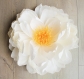 Pivoine blanche géante (50 cm) en papier pour décoration florale