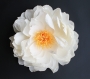 Pivoine blanche géante (50 cm) en papier pour décoration florale