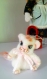 Poupée d'artiste elisa en tissu/chiffon avec son petit chaton 44 cm pièce unique