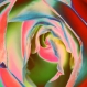 Grand carré en mousseline de soie - motif cœur de rose stylisé tons chauds
