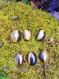 Cabochons de pierres naturelle 18x13mm, 10 choix de pierres, pour confection de bijoux
