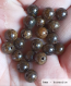 Perle - bronzite - 10 perles 6mm
