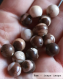 Perle - jaspe picasso - 10 perles 8mm