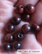 Perle - Œil de taureau - 40 perles 8mm
