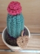 Cactus en pot 