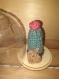 Présentation cactus sous cloche