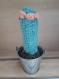 Cactus crochet seau