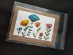 Carte aquarelle fleurs