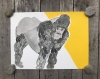 Funny looking gorilla