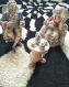 Main tufting carpet tapis cruella echiquiers home maison decorative living room chambre