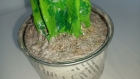 Cactus en pot, fait main, papier mâché, décoration éternelle, cadeau unique